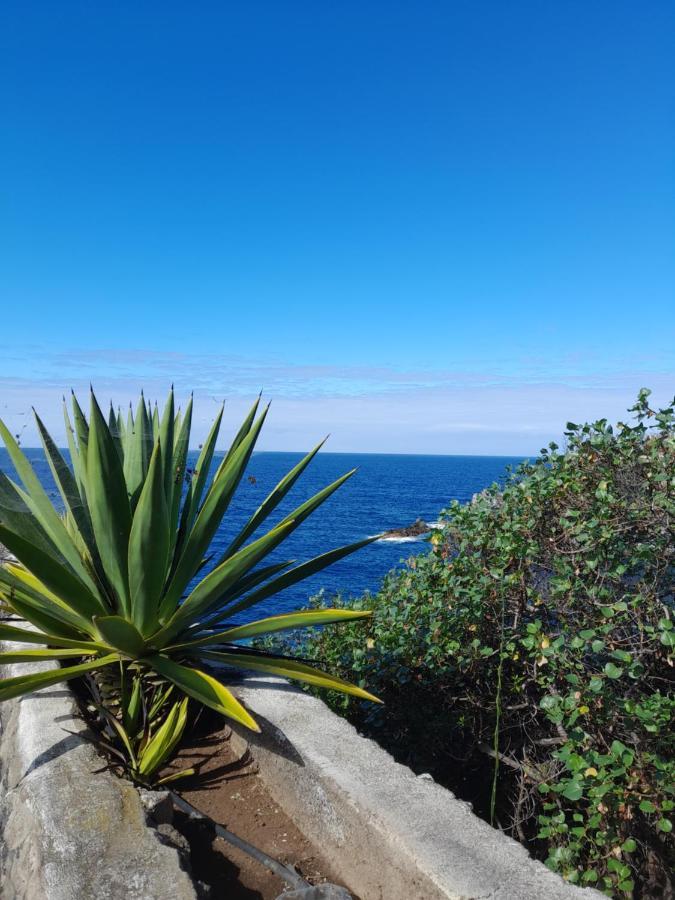 Monis Rooms,Apartment Holidays Green Tenerife Playa San Marcos Icod De Los Vinos Extérieur photo