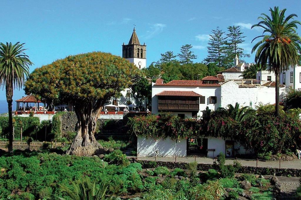 Monis Rooms,Apartment Holidays Green Tenerife Playa San Marcos Icod De Los Vinos Extérieur photo